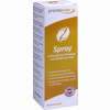 Prontoman Fußpflege- Spray  75 ml - ab 4,70 €