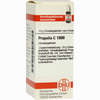 Propolis C1000 Globuli 10 g - ab 34,26 €