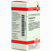 Propolis D6 Globuli 10 g - ab 7,55 €