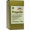 Propolis Kapseln 120 Stück - ab 16,95 €