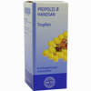 Propolis Urtinktur Hanosan Dilution 50 ml - ab 16,62 €