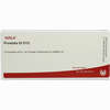 Prostata Gl D12 Ampullen 10 x 1 ml - ab 21,79 €
