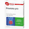 Prostata Pro Dr. Wolz Kapseln  2 x 20 Stück - ab 14,79 €