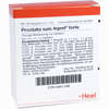 Prostata Suis- Injeel Forte Ampullen  10 Stück - ab 22,07 €