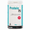 Protein 75 Erdbeer Pulver  500 g - ab 15,46 €