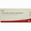Prunus Spi E Flo Et Su D6 Ampullen 10 x 1 ml - ab 19,41 €