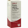 Prunus Spinosa El Foribus W 5 Oleum Bad 100 ml - ab 8,99 €