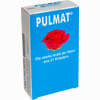 Pulmat Bonbon 100 g - ab 0,00 €