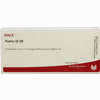 Pulmo Gl D5 Ampullen 10 x 1 ml - ab 19,41 €