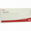 Pulmo Gl D8 Ampullen 10 x 1 ml - ab 19,31 €