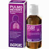 Pulmo Hevert Bronchialcomplex Tropfen  50 ml - ab 0,00 €