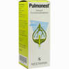 Pulmonest Tropfen 100 ml - ab 14,06 €
