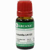Pulsatilla Arca Lm 12 10 ml - ab 10,28 €