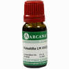 Pulsatilla Arca Lm 18 10 ml - ab 10,28 €