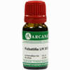 Pulsatilla Arca Lm 24 10 ml - ab 9,68 €