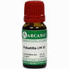 Pulsatilla Arca Lm 6 10 ml - ab 9,64 €