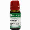 Pulsatilla Arca Lm 60 10 ml - ab 15,34 €