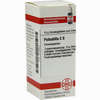 Pulsatilla C6 Globuli 10 g - ab 6,98 €