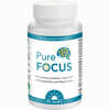 Pure Focus Dr. Jacob's 100 Stück - ab 13,03 €