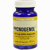 Pycnogenol 50mg Gph Kapseln  60 Stück - ab 41,41 €