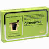 Pycnogenol Kiefernrindenextrakt Dragees 60 Stück