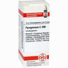 Pyrogenium C200 Globuli  10 g - ab 12,35 €
