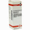 Quebracho D2 Dilution 20 ml - ab 8,69 €