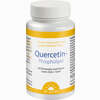 Quercetin- Phospholipid Dr. Jacobs Kapseln 60 Stück - ab 23,82 €