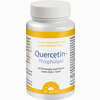 Quercetin- Phospholipid Dr. Jacobs Kapseln 60 Stück - ab 23,86 €