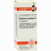 Raphanus Sativus D12 Globuli 10 g - ab 7,55 €
