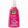 Rausch Alpenrose Pflege Shampoo Sha  200 ml - ab 0,00 €