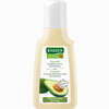 Abbildung von Rausch Avocado Farbschutz- Shampoo  40 ml