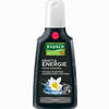 Rausch Edelweiss Pflege Shampoo Sha  200 ml - ab 0,00 €