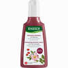Rausch Farbschutz- Shampoo mit Wildrose 200 ml - ab 9,56 €