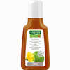 Rausch Huflattich Anti- Schuppen Shampoo  40 ml - ab 2,20 €