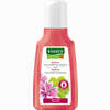 Rausch Malven Volumen- Shampoo  40 ml - ab 2,13 €