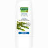Rausch Meerestang Fett- Stopp Gel- Spülung Haarspülung 30 ml - ab 2,40 €