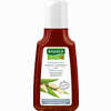 Rausch Weidenrinden Spezial- Shampoo  40 ml - ab 2,20 €