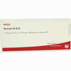 Rectum Gl D10 Ampullen 10 x 1 ml - ab 19,31 €