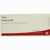 Rectum Gl D30 Ampullen 10 x 1 ml - ab 19,41 €