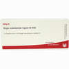 Regio Substa Nigrae Gl D30 Ampullen 10 x 1 ml - ab 19,41 €