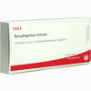 Renes/argentum Nitricum Ampullen 10 x 1 ml - ab 20,63 €