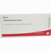 Renes/equisetum Comp Ampullen 10 x 1 ml - ab 19,41 €