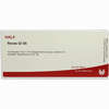 Renes Gl D5 Ampullen 10 x 1 ml - ab 0,00 €