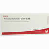 Reticuloendothe Sys Gl D6 Ampullen 10 x 1 ml - ab 19,41 €
