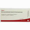 Reticuloendotheliales System Gl Serienpackung I Ampullen  10 x 1 ml - ab 0,00 €