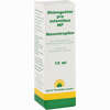 Rhinoguttae Pro Infantibus Mp Nasentropfen Leyh Pharma 10 ml - ab 0,00 €