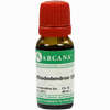Rhododendron Arca Lm 18 10 ml - ab 12,79 €
