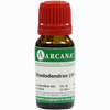 Rhododendron Arca Lm 6 10 ml - ab 9,64 €