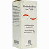Rhododendron Cp Fluid  100 ml - ab 0,00 €